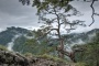 Pieniny 05